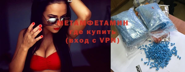 ПСИЛОЦИБИНОВЫЕ ГРИБЫ Богданович