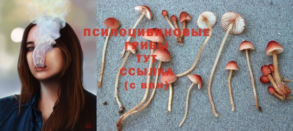 ALPHA-PVP Белокуриха